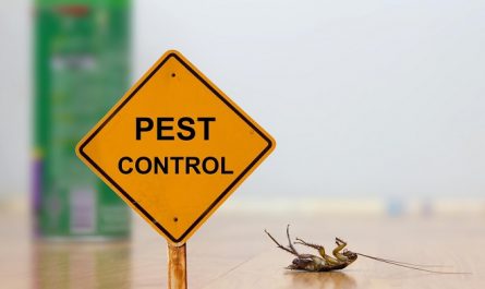 How Safe Is Modern Pest Control for the Environments