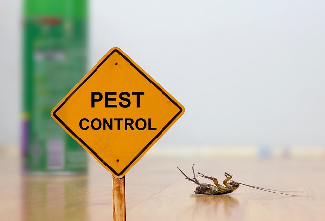 How Safe Is Modern Pest Control for the Environments